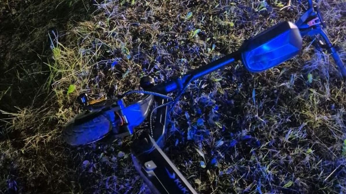 16-latek zderzył się z sarną jadąc na hulajnodze elektrycznej 