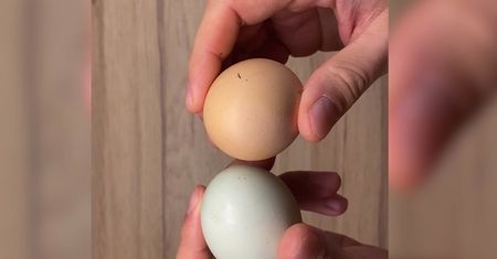 Niebieskie jajko. Niezwykłe zdjęcia od widza