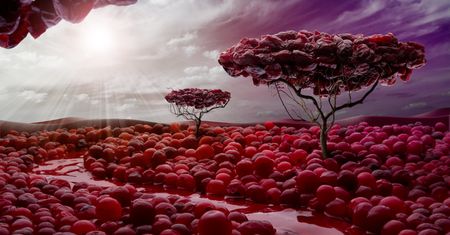 Artur Rogalski – fotograf, którego nie zatrzyma nic w podróży do świata kreatywności