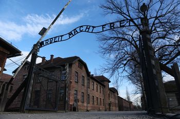 Skandaliczna aukcja w Niemczech. "Cyniczne i bezwstydne"