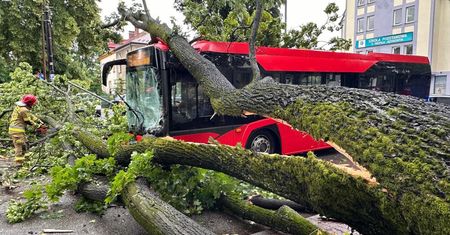 Ogromne drzewo zawaliło się na autobus. Są ranni