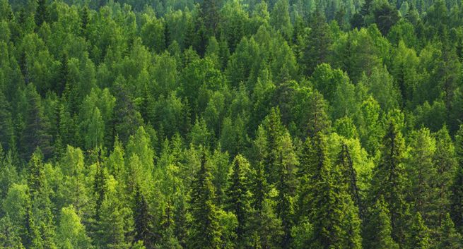 Resort środowiska chce promować parki narodowe, wyda na to ponad 1 mln  zł