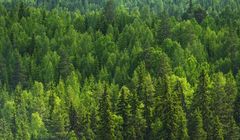 Resort środowiska chce promować parki narodowe, wyda na to ponad 1 mln  zł