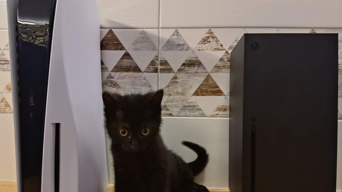 Konsole nowej generacji vs kot