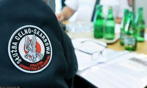 Wielka akcja skarbówki w Polsce. 120 mld zł i 255 zawiadomień