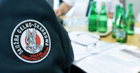 Wykryli gigantyczne nieprawidłowości. Wielka akcja skarbówki w Polsce