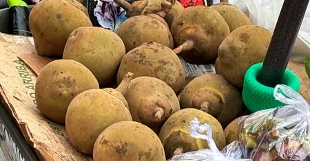 Owoc, który smakuje jak budyń. Polacy nawet o nim nie słyszeli