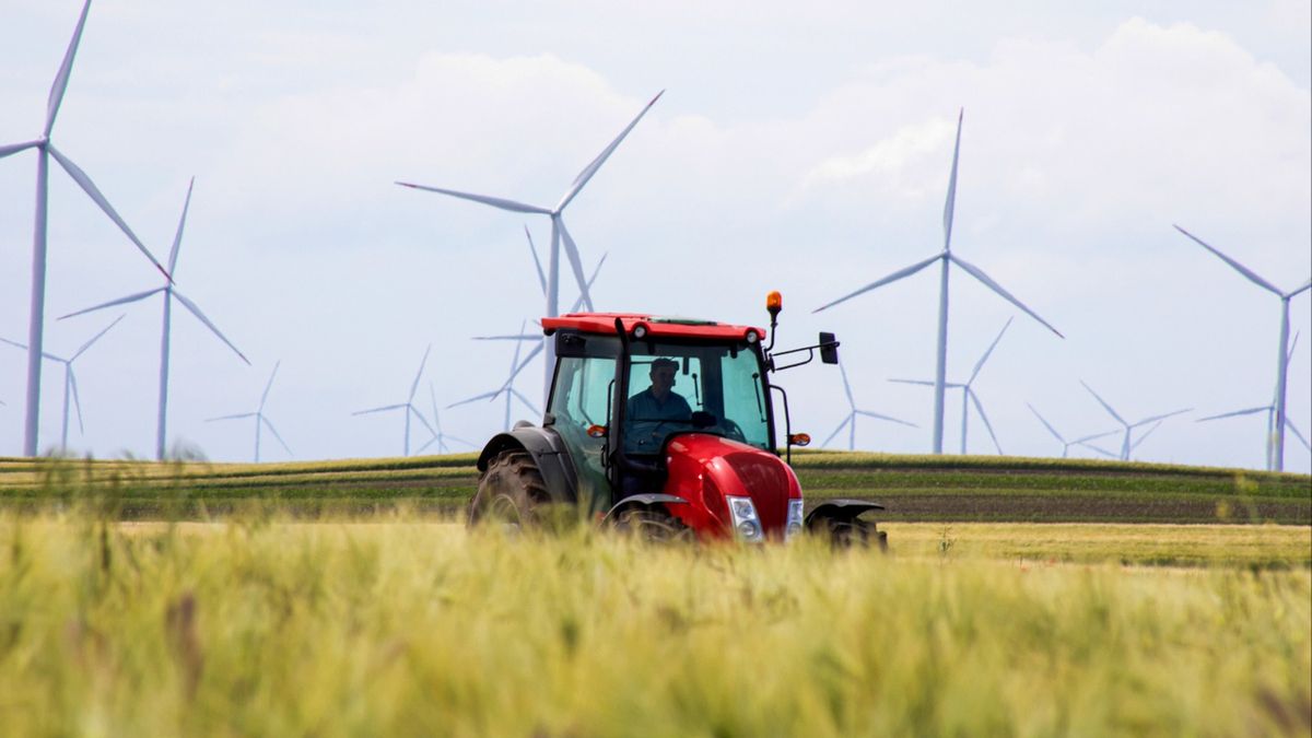 Niemieccy rolnicy walczą ze złodziejami. Ogromne straty
