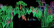 Ogrody świateł. Hit czy wielka przesada?