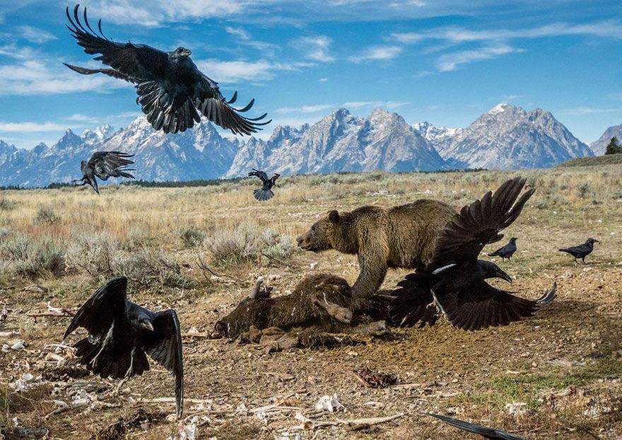 Oto najlepsze fotografie 2016 roku według magazynu National Geographic 13