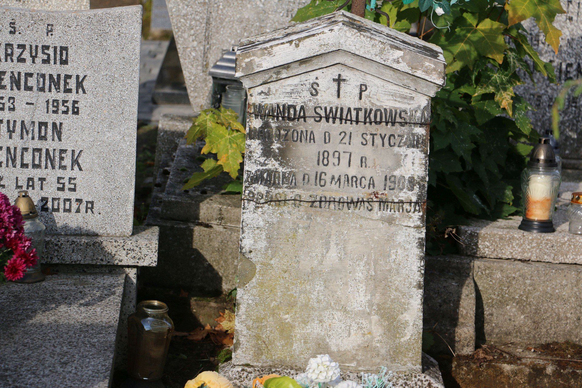 Między starymi drzewami i omszałymi nagrobkami kryje się historia Aleksandrowa Kujawskiego - pełna wzruszeń, dramatów i lokalnej dumy. Stary cmentarz parafialny to nie tylko miejsce pamięci, lecz także żywa lekcja historii.