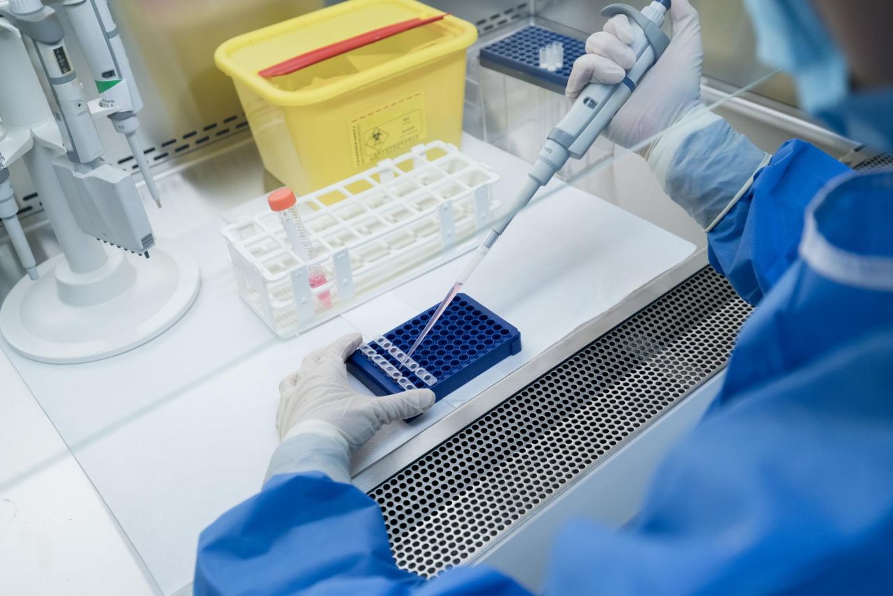 Immunoterapia w służbie serca. Naukowcy opracowali nową strategię walki z miażdżycą