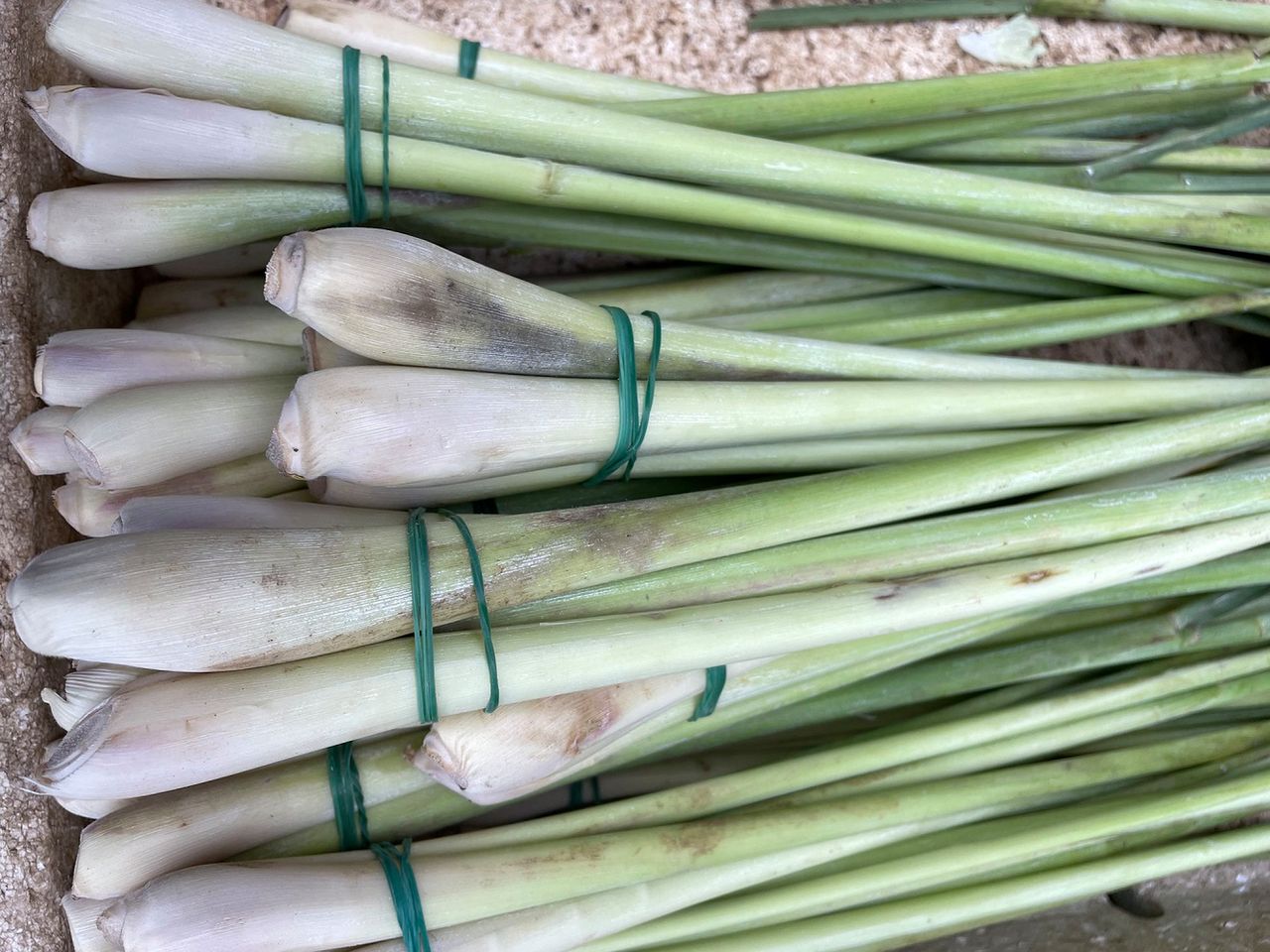 Chroni przed rakiem, łagodzi stres. Dodaj do lemoniady lub rosołu