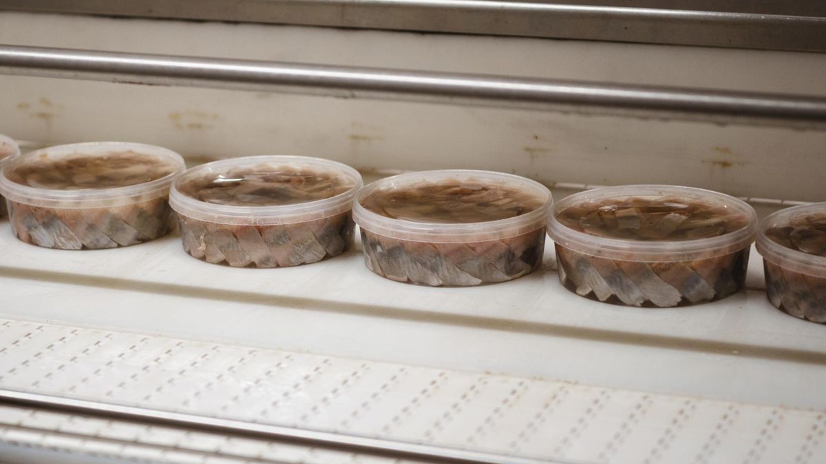 Ekspertki mówią, które śledzie postawić na świątecznym stole