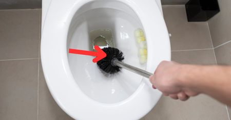 "Ukryta" funkcja szczotki do WC. Mało kto korzysta