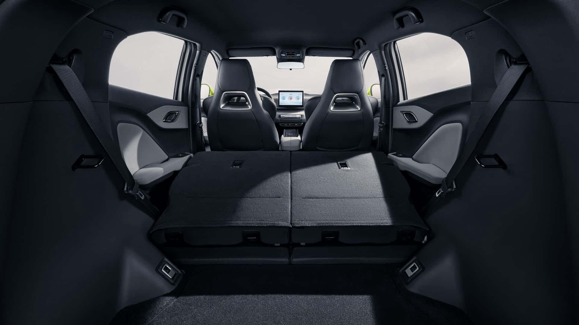 BYD Dolphin Surf