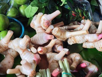 Przypomina imbir, ale ma pieprzną nutę. Pomaga kontrolować poziom cukru i cholesterolu