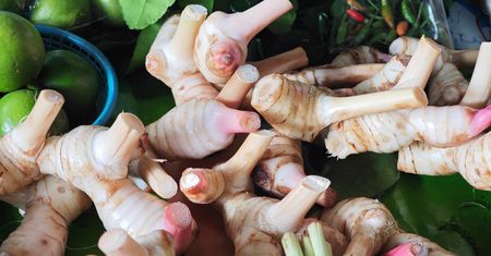 Przypomina imbir, ale ma pieprzną nutę. Pomaga kontrolować poziom cukru i cholesterolu