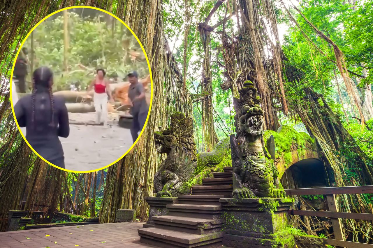 Freak accident in Bali's Monkey Forest claims two lives