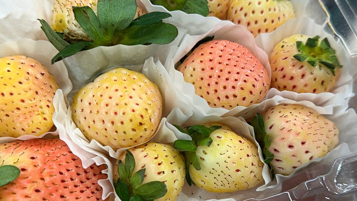 Owoc, który wygląda jak truskawka, a pachnie jak ananas