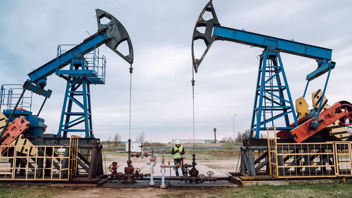 Oil pumps, nodding donkey or pump jack and rig against blue cloudy sky. Engineer in protective uniform working in between
Silhouettes of onshore oil and gas well in the field outdoors against blue cloudy sky
Olga Rolenko