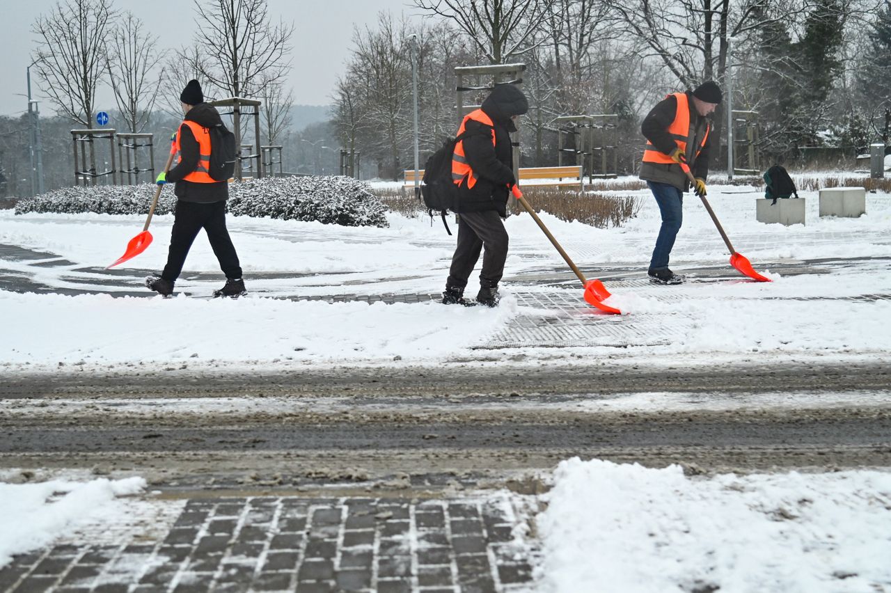 Nawet 60 zł za godzinę. Chętnych wciąż mało