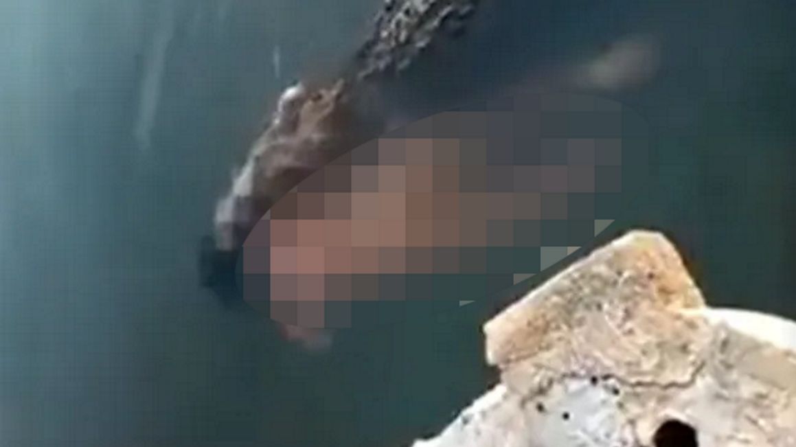 Krokodyl ciągnął ciało człowieka