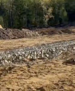 Szok w Jakucji. Żołnierskie mogiły zrównane z ziemią