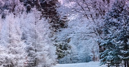Jedna zima już się zaczęła. Kiedy przywitamy kolejne?