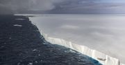 Największa góra lodowa świata osiadła na mieliźnie. Naukowcy zaniepokojeni