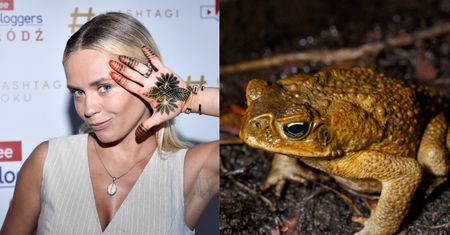 Anna Skura na urodziny odurzyła się... JADEM MEKSYKAŃSKIEJ ŻABY! "To nie jest absolutnie dla każdego"