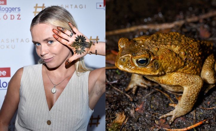 Anna Skura opisuje "fazę" po odurzeniu się JADEM amazońskiej żaby