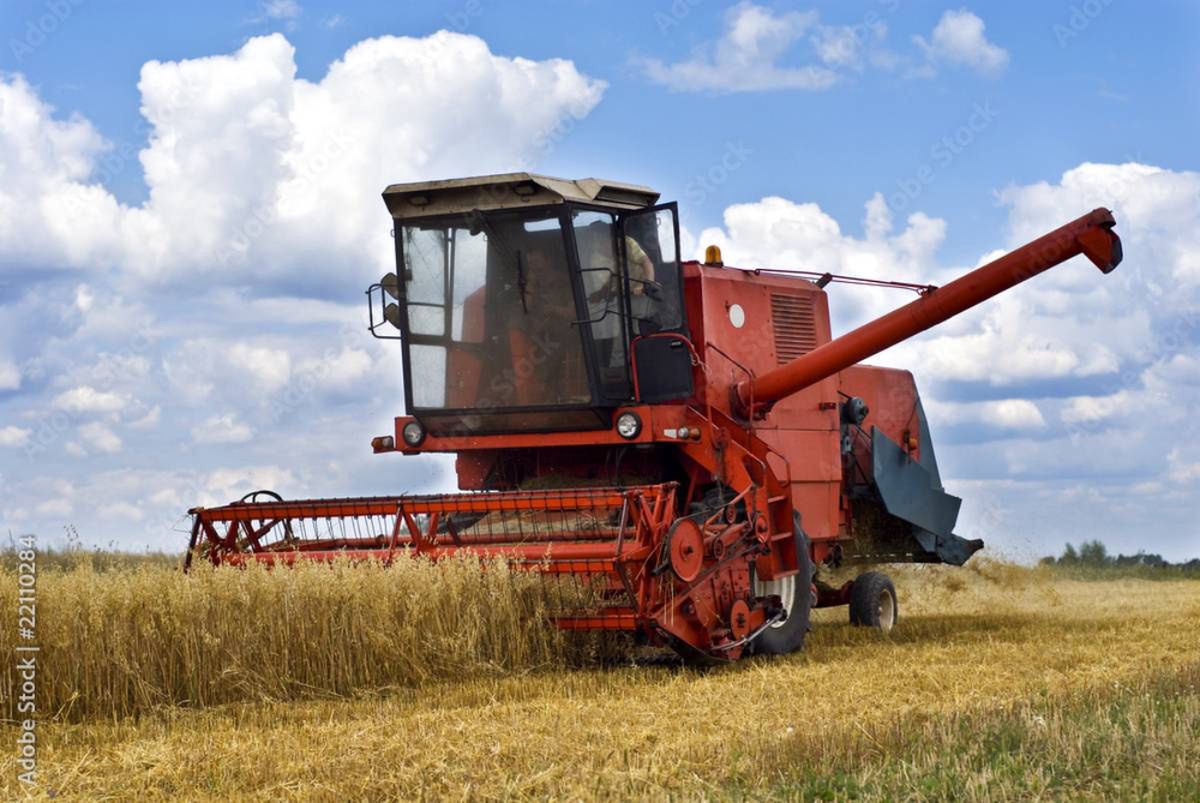 Żniwa powoli ruszają. Rolnicy tradycyjnie rozpoczęli od jęczmienia ozimego