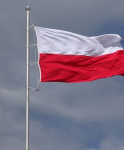 Wybory samorządowe 2024 Siedlce. Lista kandydatów na prezydenta miasta