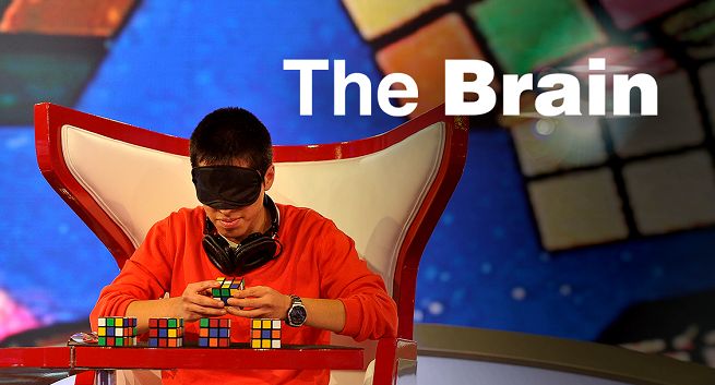 „The Brain - genialny umysł” od marca w Polsacie