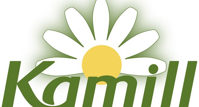 Goldbach Interactive odpowiada za PR produktowy marki Kamill