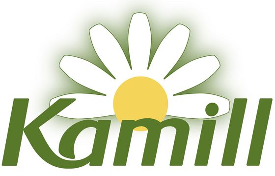 Goldbach Interactive odpowiada za PR produktowy marki Kamill