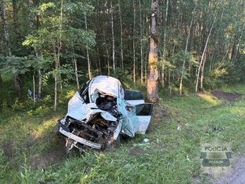 Płońsk: Poważny wypadek na drodze wojewódzkiej. 18-latek próbował ominąć łosia, dachował. Dwie osoby ranne