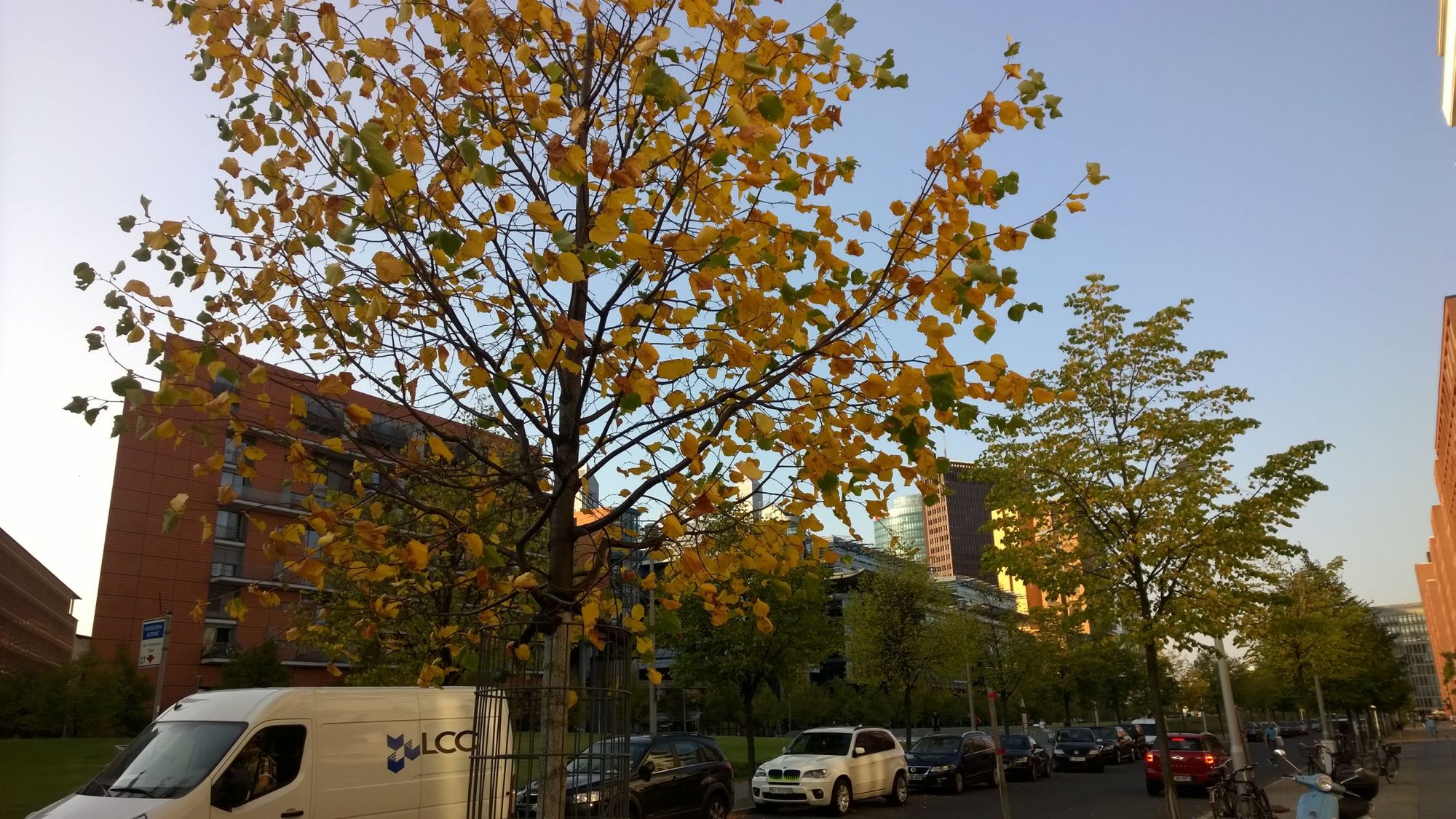 Xperia Z3 czy Lumia 930 - który smartfon robi lepsze zdjęcia? 25