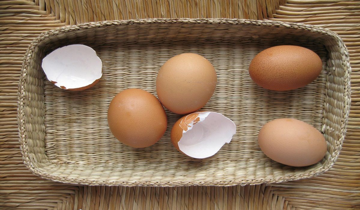 Wyrzucasz skorupki po jajkach do kosza? To fatalny błąd, który popełnia wiele osób