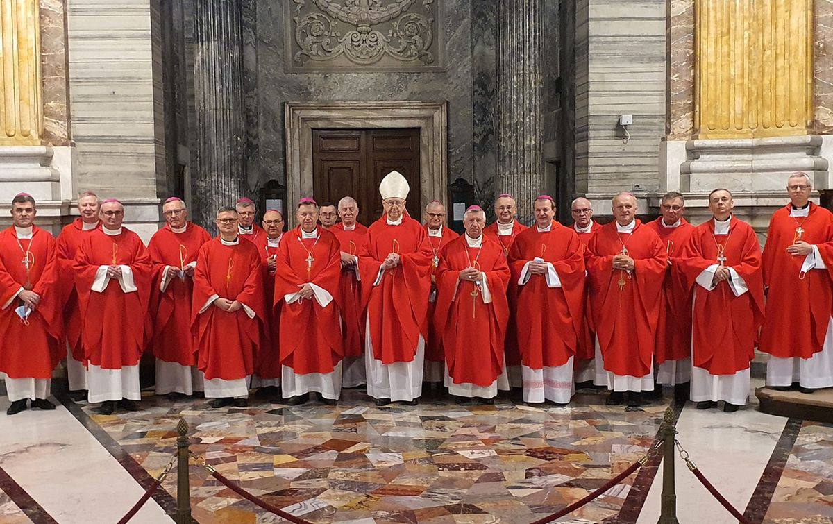 Polscy biskupi w Watykanie. "Nasze działania zostały dostrzeżone" 