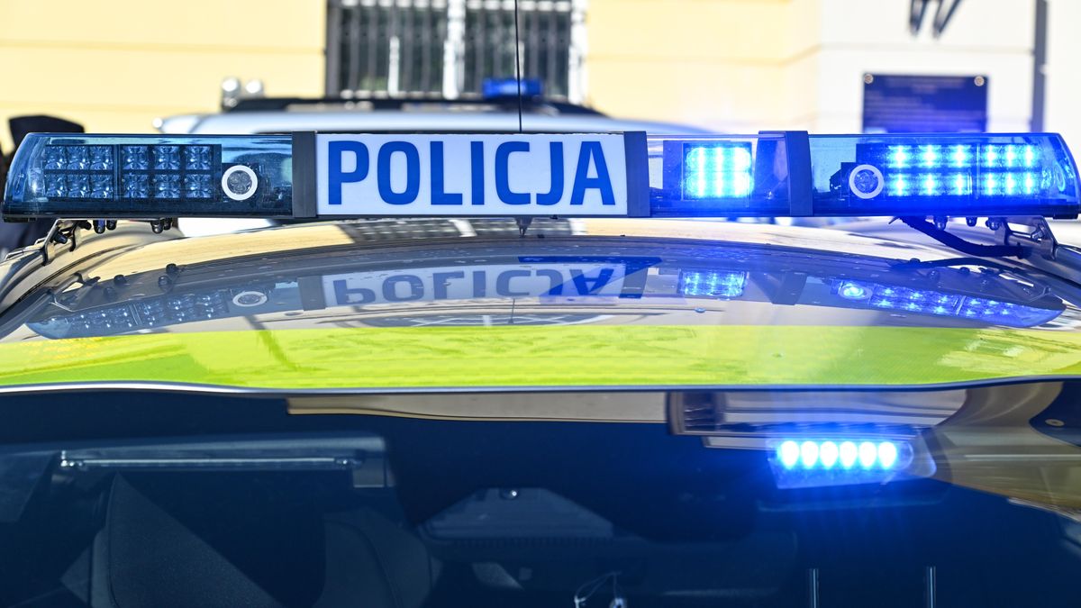 Radek Pietruszka
doposa�enie, komenda sto�eczna policji, ksp, pojazdy s�u�bowe, policja policji, policyjny, przekazanie, radiow�z, samoch�d, sprz�t, warszawa chroni