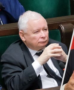 Kluczowe wyniki dla PiS. Ten sondaż wpłynie na decyzję Kaczyńskiego?