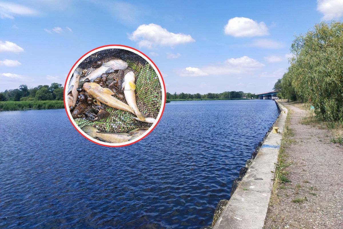Znaleźli je w Odrze. Natychmiast powiadomili służby. Alarm w Szczecinie