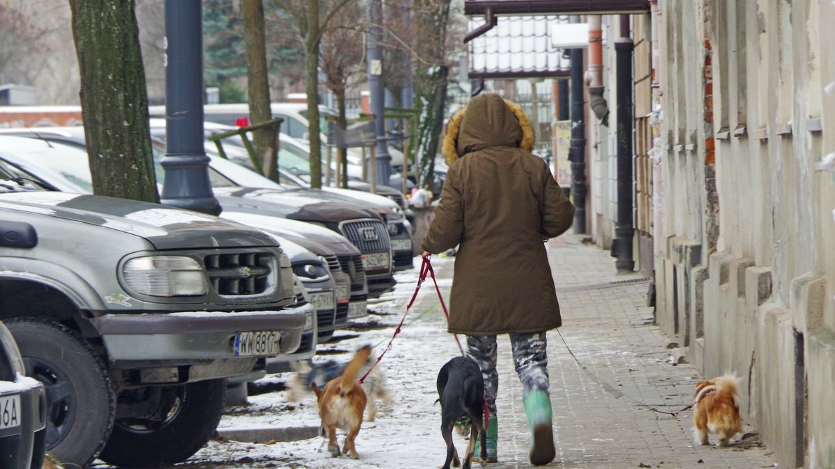 "Należy skończyć z utrzymywaniem fikcji"
