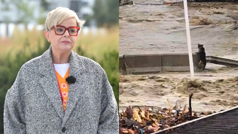 Karolina Korwin Piotrowska o powodziach na południu Polski