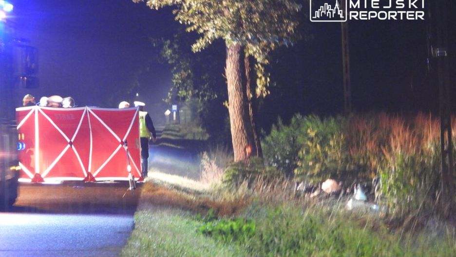 Grupa ratowników przy czerwonym parawanie na poboczu drogi w nocy, w otoczeniu drzew i krzewów.