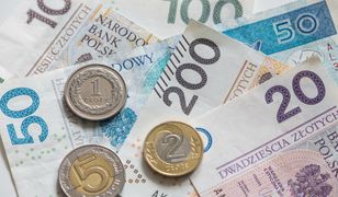 Ile wynoszą emerytury w Polsce? Rekordzista dostaje sowitą kwotę