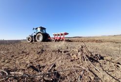 Będą wyjątkowo słabe zbiory w tym roku? "Trudny czas dla rolników"