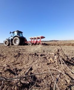 Będą wyjątkowo słabe zbiory w tym roku? "Trudny czas dla rolników"